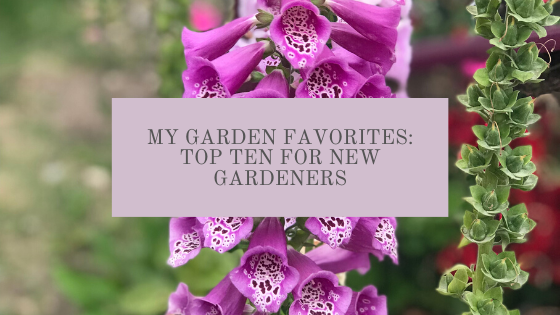 Top Ten Gardening Favorites for new and seasoned gardeners for herbs, vegetables and cut flowers